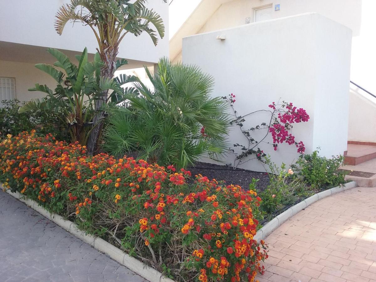 Apartamento Junto Al Mar En La Costa De Almeria El Pozo del Esparto Ngoại thất bức ảnh